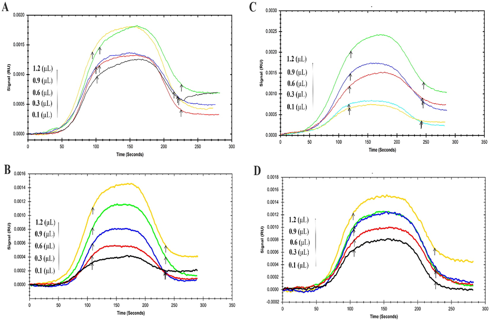 The SPR Sensorgram of immobilized BSA interaction with various concentrations of NT as a food additive at four temperatures (A) 293 °K, (B) 298 °K, (C) 303 °K, and (D) 310 °K.