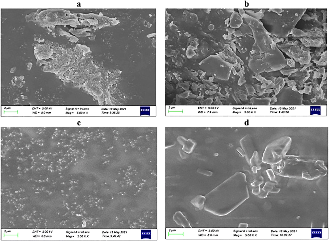 SEM microscopies of 5a: MIP-D; 5b: MIP-G.