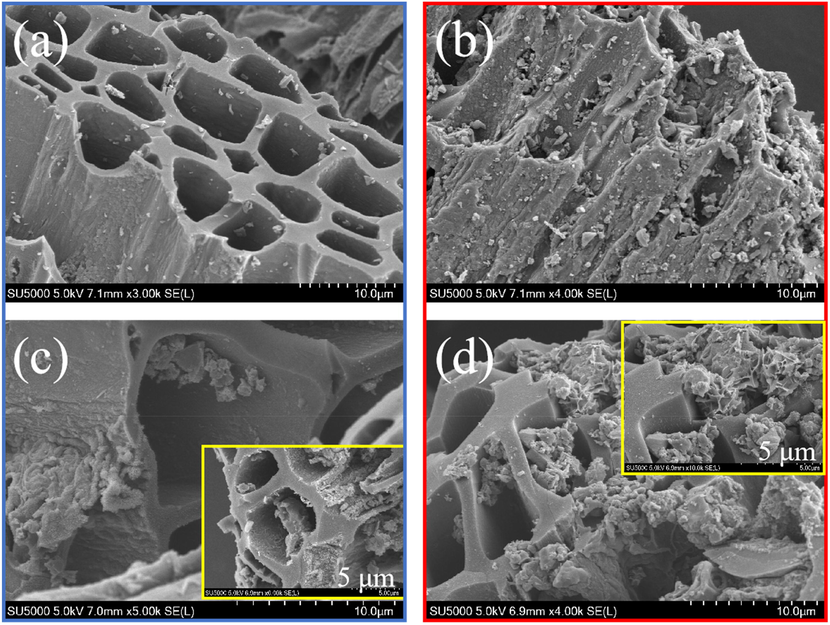 SEM images of BC (a), FBC (b), and MBC before (c) and after adsorption (d).