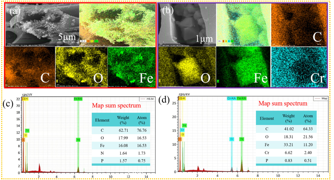 The elemental mapping for MBC (a) and MBC after adsorption (b); EDS mass spectrum of MBC before (c) and after adsorption (d).