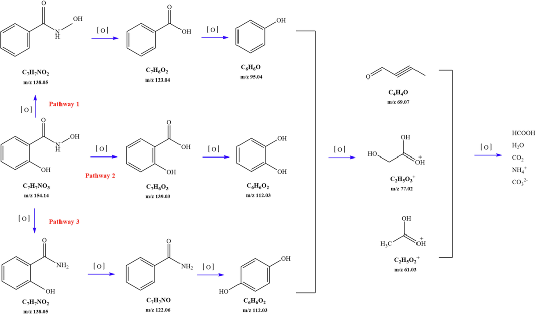 Degradation on possible pathways of SHA.