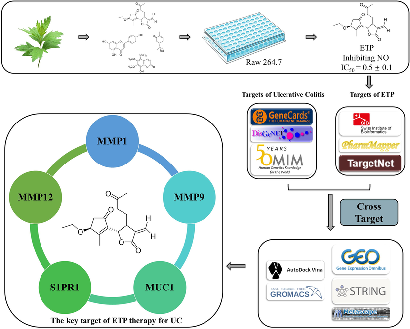 Workflow of this study.