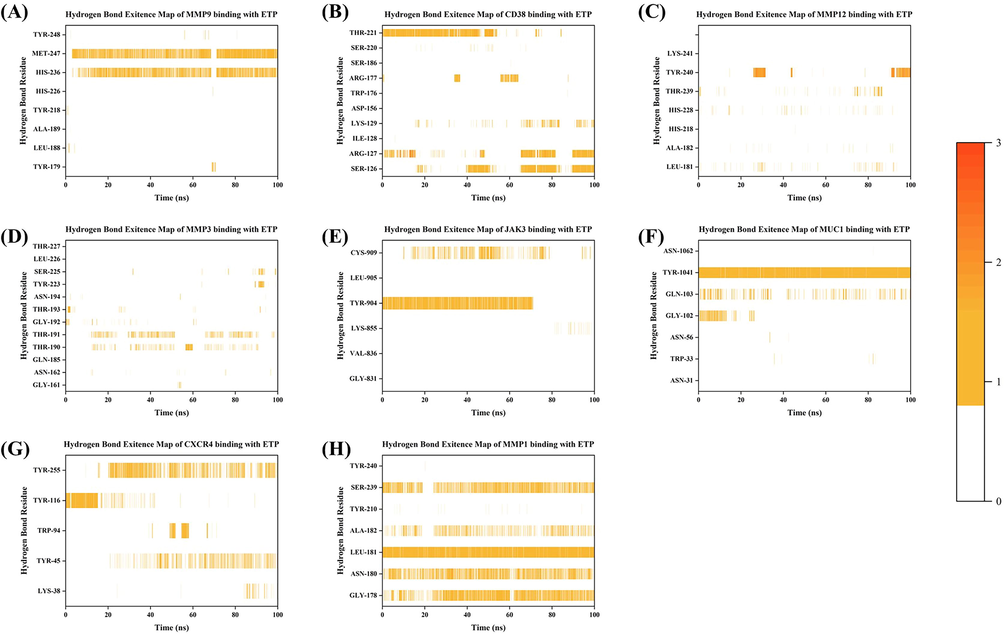 Hydrogen bonds of ETP binding with target proteins. (A) ETP-MMP9. (B) ETP-CD38. (C) ETP-MMP12. (D) ETP-MMP3. (E) ETP-JAK3. (F) ETP-MUC1. (G) ETP-CXCR4. (H) ETP-MMP1. The color scale indicates the number of hydrogen bonds.