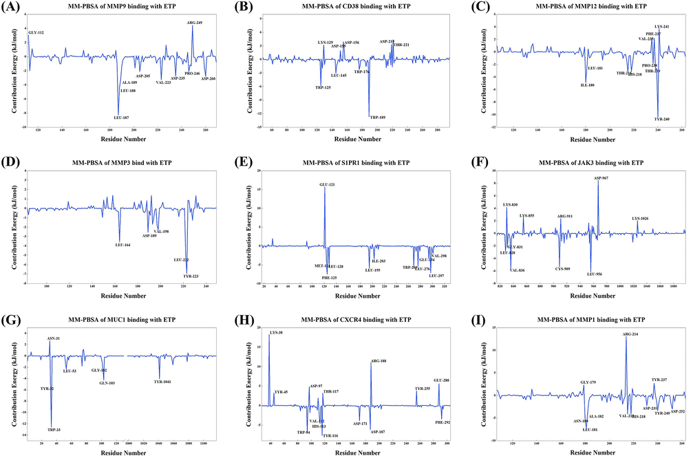 Key residues of ETP binding with target proteins in the MM-PBSA results. (A) ETP-MMP9. (B) ETP-CD38. (C) ETP-MMP12. (D) ETP-MMP3. (E) ETP-S1PR1. (F) ETP-JAK3. (G) ETP-MUC1. (H) ETP-CXCR4. (I) ETP-MMP1. The key amino acid residues are all labeled in the figure.