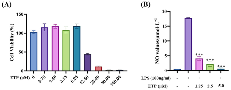 Cytotoxicity and NO inhibition ability of ETP. (A) Cytotoxicity of ETP on RAW264.7 cells (B) NO inhibition ability of ETP in LPS-stimulated cells. (*P < 0.05, **P < 0.01, ***P < 0.001 compared with LPS-induced group.).