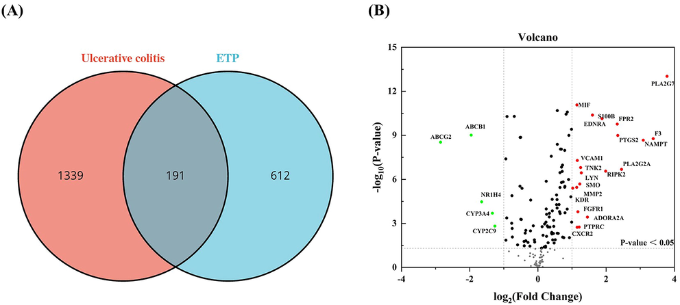 Intersection of UC targets and ETP targets. (A) Venn diagram depicting intersecting genes in UC/ETP (B) Volcano-plot representation of differential gene expression.