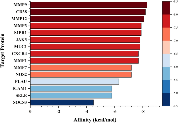 Molecular docking results of ETP with key targets. The color scale in the diagram represents the size of the affinity.