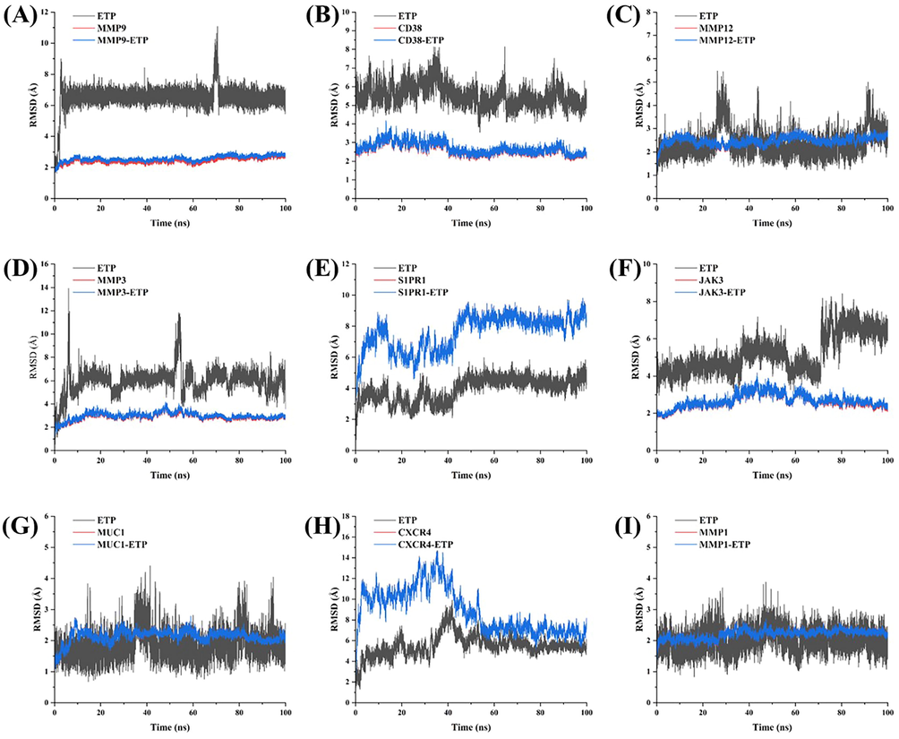 RMSD results of ETP binding with target proteins. (A) ETP-MMP9. (B) ETP-CD38. (C) ETP-MMP12. (D) ETP-MMP3. (E) ETP-S1PR1. (F) ETP-JAK3. (G) ETP-MUC1. (H) ETP-CXCR4. (I) ETP-MMP1. The gray color represents the stability of ETP, the red color represents the stability of the protein, and the blue color represents the stability of the receptor-ligand system.