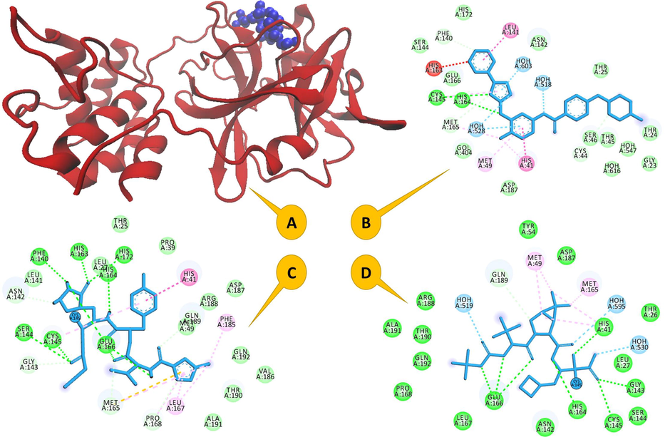 (A) The crystal structure of SARS-CoV-2 main protease in complex with a drug (drug in blue and CMP in red), the important resediues in the active site of (B) MSB/CMP complex, (C) RPV/CMP complex and (D) BCV/CMP complex.