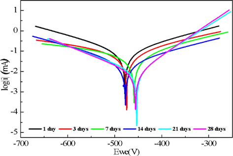 Immersion time effect on Tafel plots of the interface mild steel/ HCl 1 M + 200 ppm of DHATS.