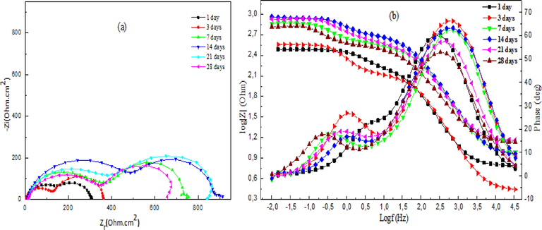 Nyquist and Bode plots of mild steel in 1 M HCl with 200 ppm of DHATSC after different immersion times.