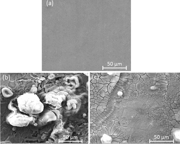 SEM images of the carbon steel surface: a) before immersion in HCl, b) after immersion in HCl without DHATSC, and c) after immersion in HCl and 200 ppm DHATSC.