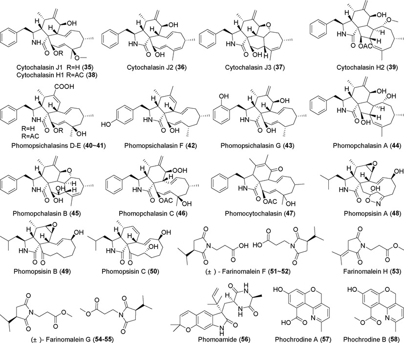 Alkaloids isolated from fungi of the genus Phomopsis (35–58).