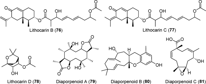 Terpenoids isolated from fungi of the genus Diaporthe (76–81).