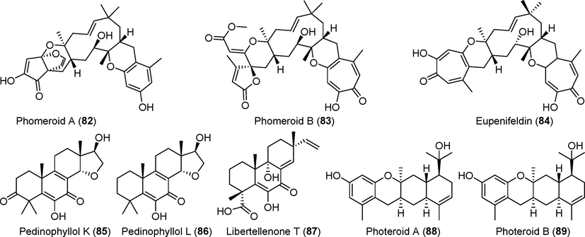 Terpenoid derivatives isolated from fungi of the genus Phomopsis (82–89).