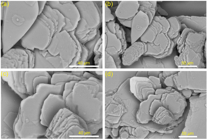 SEM images of xerogel of compound 3c extracted from the corresponding organogel in n-butanol (∼1 mM).