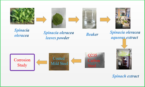 Illustration of the extraction of AESPE and its anti-corrosion application.