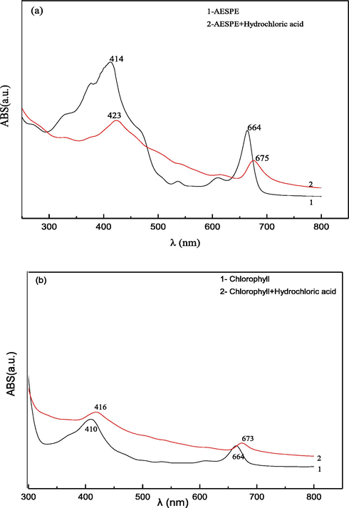 UV–vis spectra of AESPE and chlorophyll.