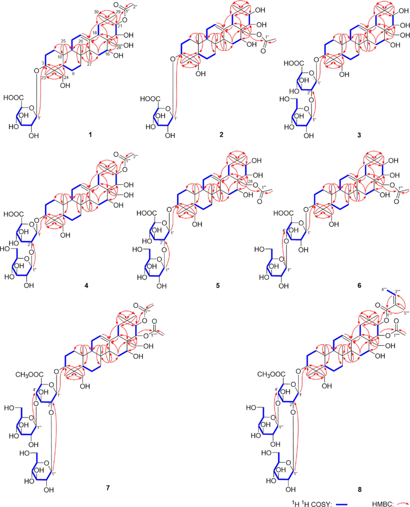 The main 1H 1H COSY and HMBC correlations of compounds 1–8.