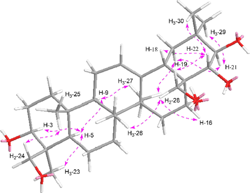 The main NOE correlations of aglycon part of compounds 1–8.