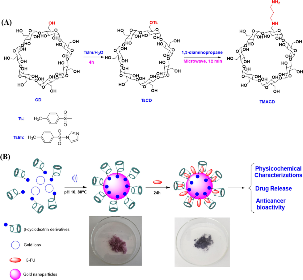 Synthetic route of mono-6-(1,3-trimethylenediamine)-6-deoxy-β-cyclodextrin via two steps (A); study scheme and proposed formation mechanism for the synthesis of nanocomposites loading 5-FU (B).