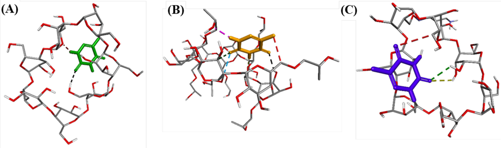 The hydrogen bonds formed from the most stable conformations of compound 5-FU, ranked pose 244 to CD (A); pose 71 to HPCD (B); pose 60 to TMACD (C).