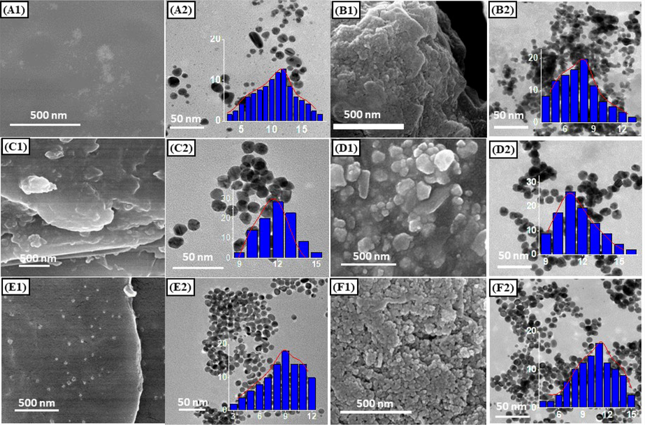 SEM, TEM images and size distribution (in set) of nanocomposites: AuNPs/CD (A1 and A2), 5-FU@AuNPs/CD (B1 and B2), AuNPs/HPCD (C1 and C2), 5-FU@AuNPs/HPCD (D1 and D2), 5-FU@AuNPs/DAPCD (E1 and E2), and 5-FU@AuNPs/TMACD (F1 and F2).