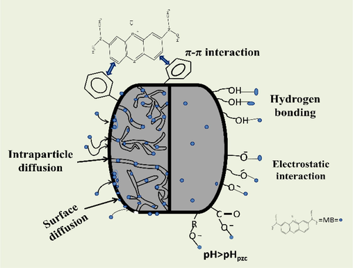 Mechanism of MB adsorption onto CCBC.