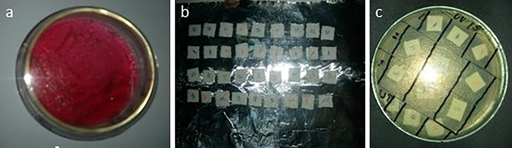 (a) E. coli growth on MacConkey agar (b) Swatches of treated cotton fabric arranged on aluminum foil exposed to UV and artificial sunlight (c) Arrangement of irradiated swatches on agar plate.