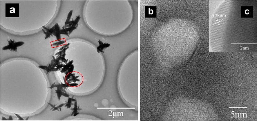 (a) TEM of ZnO NFs indicating the jasmine flower-like structure (b) HRTEM of ZnO NFs exhibiting monocrystalline nature of petals of flowers with high crystallinity (c) HRTEM for d-spacing of ZnO NFs.