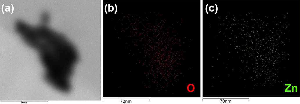 (a) Electronic image of ZnO NF (b) surface concentration of oxygen (c) surface concentration of Zn.