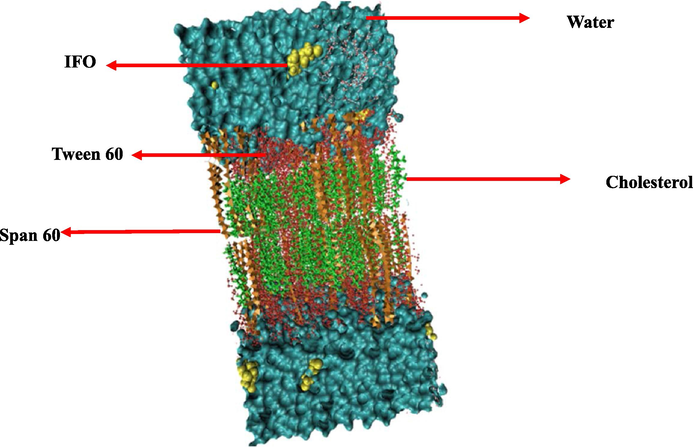 Schematic of studied compounds after molecular dynamics simulation. The beginning of a noisy bilayer with ten IFO medicines at the top. The molecules of Span 60, Tween 60, and cholesterol are depicted as orange, red, and green, respectively. Water molecules are shown as surfaces along with IFO molecules, like the VDW drawing method.