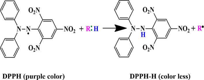 The action mechanism of the antioxidant agent on 2, 2 di-phenyl 1-picryl hydrazyl (DPPH) free radicals (R: H represents antioxidant) (Liang and Kitts 2014).