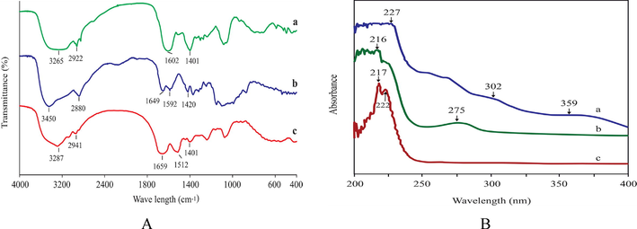 (A) FTIR spectra of (a) Aloe vera, (b) Chitosan and (c) Silk sericin and (B) UV spectra of (a) Aloe vera, (b) Silk sericin and (c) Chitosan solution.