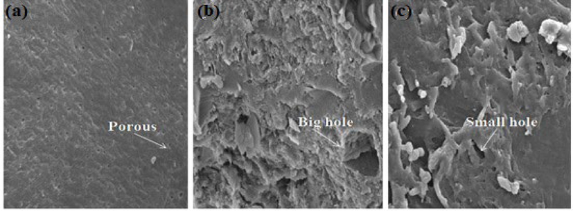 SEM image of (a) Chitosan, (b) Aloe vera and (c) Silk sericin at 3000 magnification.