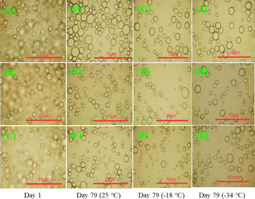 Microstructures of CQSG solutions of different concentration (A: 0.50%, B: 0.75%, and C: 1.00% in w/v) before (Day 1) and after 79 days of storage at different temperatures (D-F, 25 °C; G-I, −18 °C; J-L, −34 °C).