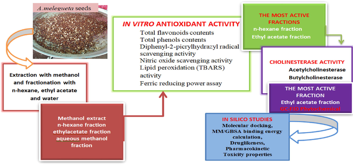 Schematic diagram of the bioassay guided experimental design.