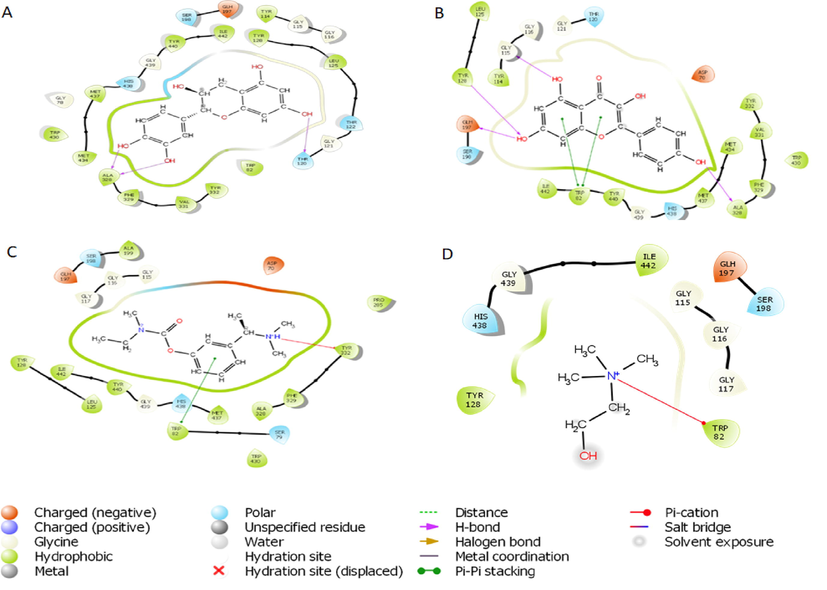 2D representation of the interaction between atoms of top-scoring phytocompounds (A), catechin (B), kaempferol (C) and standard drug- Rivastigmine (D) Co-crystallized ligand and amino acids residues of the binding pocket of butyrylcholinesterase (1P0M).