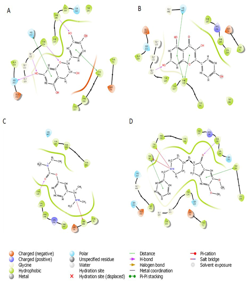 2D representation of the interaction between atoms of top-scoring phytocompounds (A), catechin (B), kaempferol (C) Standard drug- Rivastigmine (D) Co-crystalized ligand and amino acids residues of the binding pocket of acetylcholinesterase (4EY7).