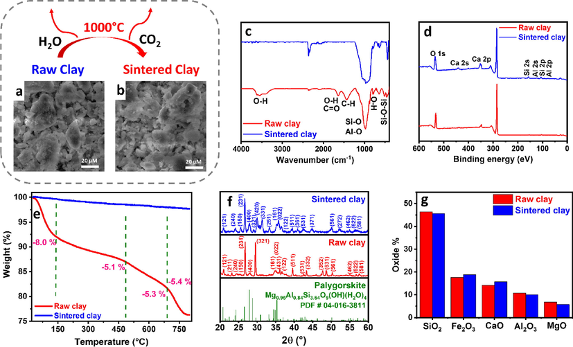 (a–b) SEM images, (c) FTIR spectra, (d) XPS spectra, (e) TGA profiles, (f) XRD patterns, and (g) XRF-derived oxide content of raw and sintered clay.