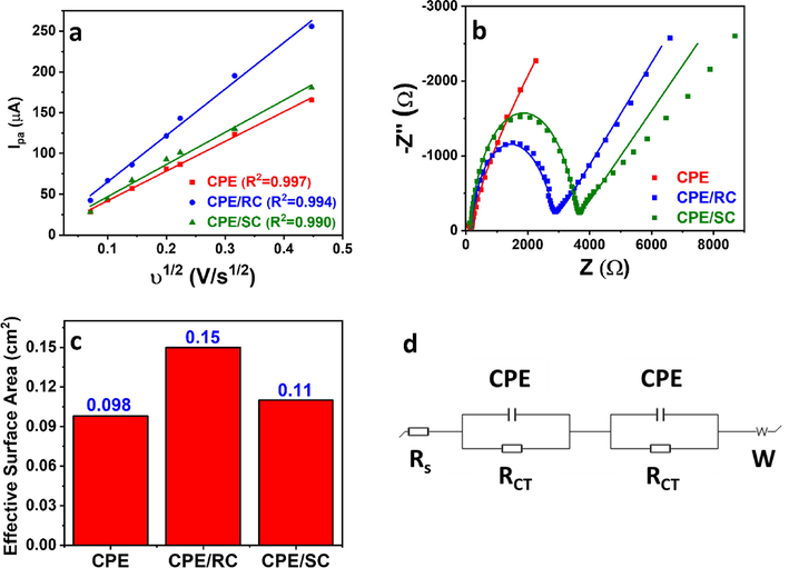 (a) Anodic peak current vs. square root of the scan rate plot of CPE, CPE/RC, and CPE/SC. (b) Nyquist plots and their fitted models using the equivalent circuit shown in (d) (c) Effective surface area of CPE, CPE/RC, and CPE/SC.