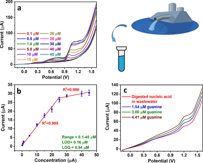 (a) NPV profiles of guanine in 0.1 M acetate buffer (pH 4.5) at different concentrations in the presence of Cu2+ and (b) the corresponding calibration curve. (c) Guanine detection in municipal tertiary wastewater containing digested nucleic acid using the standard addition method.