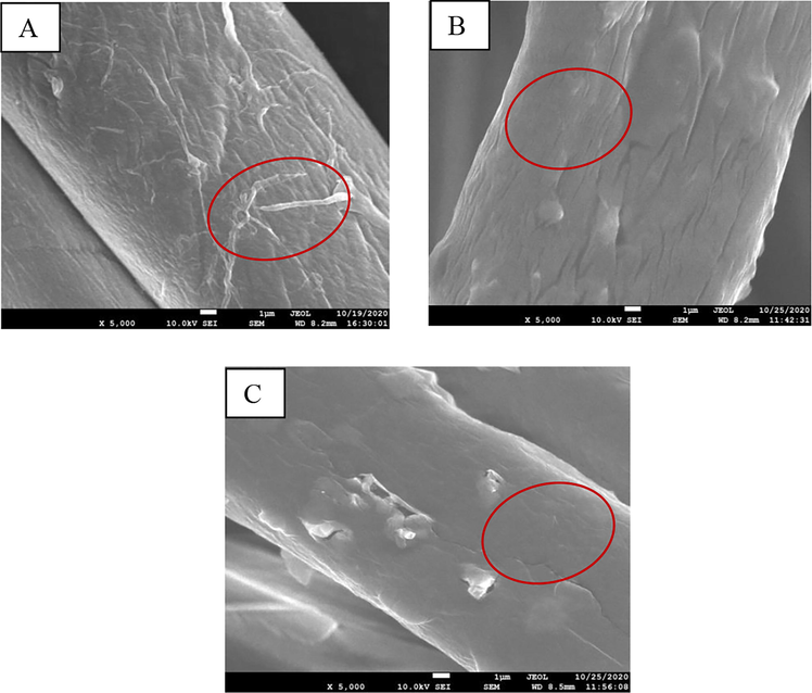 SEM images showing the surface morphology of the pristine cotton textile (A), Ch-VTES modified fabric (B), and HTACC-VTES modified fabric (C).