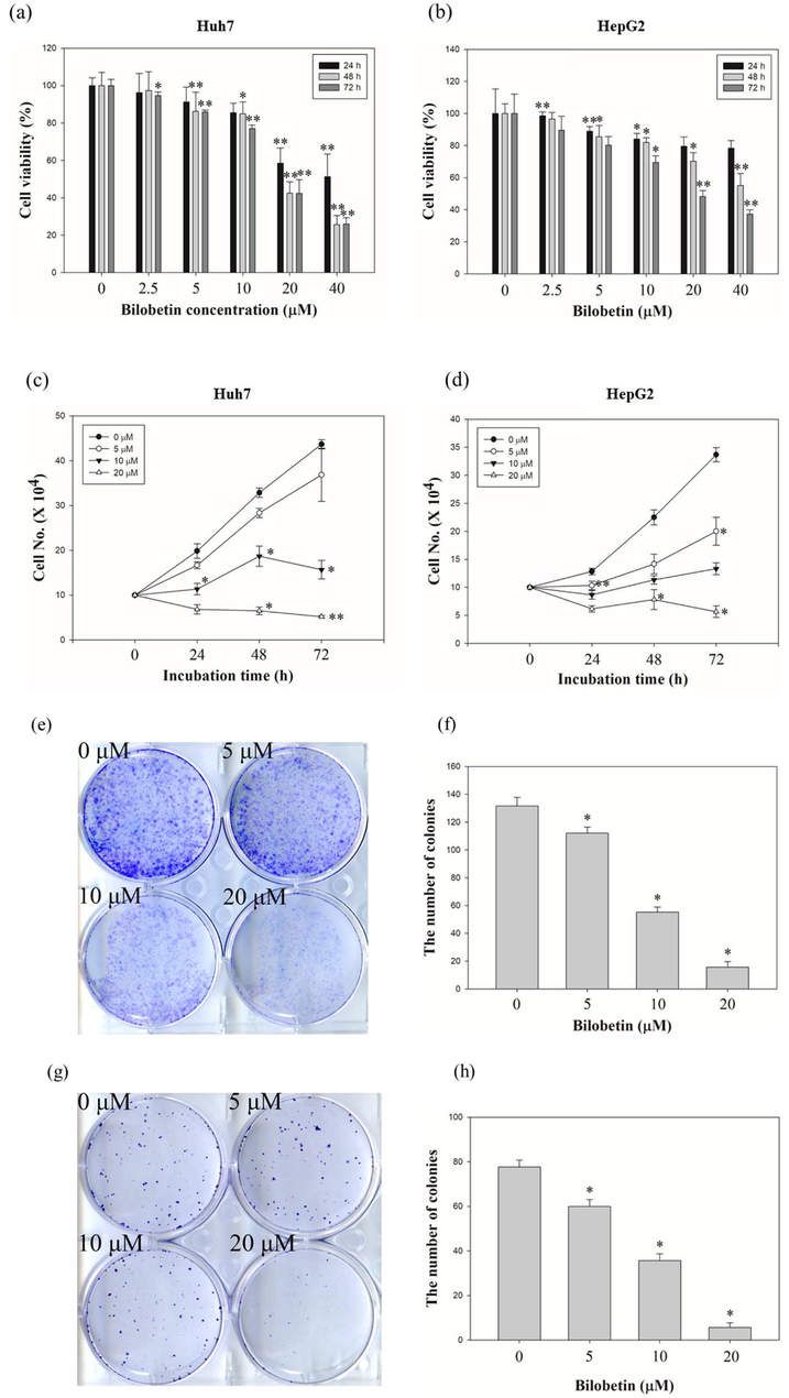 Antiproliferative effects of bilobetin against HCC cell lines. Dose- and time-dependent effects of bilobetin (0, 2.5, 5, 10, 20, and 40 μM) in (a) Huh7 and (b) HepG2 cells after bilobetin treatment for 24 h, 48 h, and 72 h. The cell viability was examined using the MTT assay. Cell counting assay of (c) Huh7 and (d) HepG2 cells after treatment of bilobetin (0, 5, 10, and 20 μM) for 24 h, 48 h, and 72 h. Colony formation assay of (e) Huh7 and (g) HepG2 cells after treatment of bilobetin (0, 5, 10, and 20 μM) following 2 weeks. (f, h) The graphical bar displayed the standard error. Significant differences between bilobetin treatment groups and DMSO control groups are showed as * (* means p < 0.05 and ** means p < 0.01).