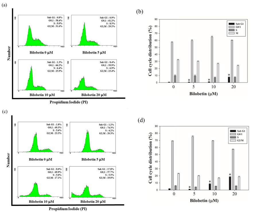 Cell cycle analysis of bilobetin against HCC cell lines. Increase of Sub G1 population in Huh7 and HepG2 cells. Huh7 and HepG2 cells were treated with 0, 5, 10, and 20 μM of bilobetin for 24 h and 48 h and stained with propidium iodide and specific RNase A. Subsequently, the cells were analyzed with flow cytometry. The cytogram results show that the cell cycle distribution and percentages of cells in each proportion of cell cycle indicated for (a, c) Huh7 and (e, g) HepG2 cells were treated with bilobetin for 24 h and 48 h. Distribution of (b, d) Huh7 and (f, h) HepG2 cells of each proportion of the cell cycle was represented after bilobetin treatment. Significant differences between bilobetin treatment groups and DMSO control groups are showed as * (* means p < 0.05).