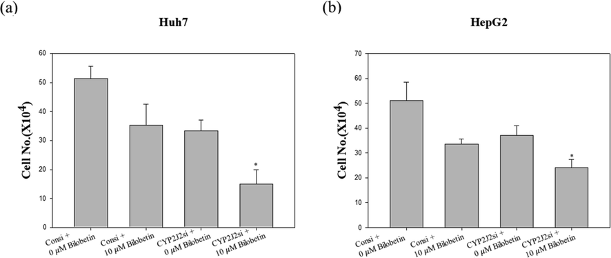 Cytotoxic and antiproliferative effect of the combination of CYP2J2 siRNA transfection and bilobetin treatment in Huh7 and HepG2 cells. (a) Huh7 and (b) HepG2 cells were transfected with the control or siRNA against CYP2J2 followed by treatment with bilobetin for 24 h for cell counting assay. The graphical bar displayed the standard error. Significant differences between bilobetin treatment groups and DMSO control groups are showed as * (* means p < 0.05).