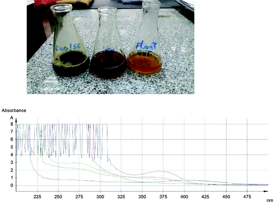 UV spectroscopy of PE, SeNPE, SENPCo, SeNPCI, and Se@CuO, PPAE: Pomegranate peel Aqueous Extract, SeNPE: Selenium NPs synthesized by PPAE, SeNPCo: Selenium NPs synthesized by isolated caffeic acid, SeNPCI: Selenium NPs synthesized by isolated cinnamic acid.