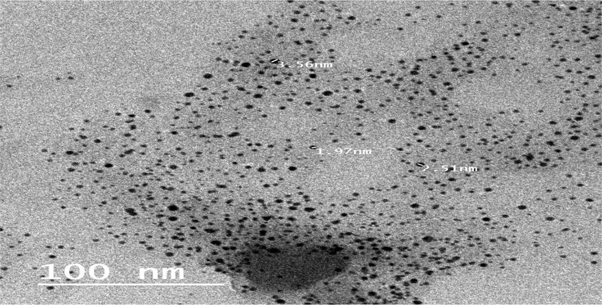 High Resolution Transmission Electron Microscope of SeNPs synthesized by PE.