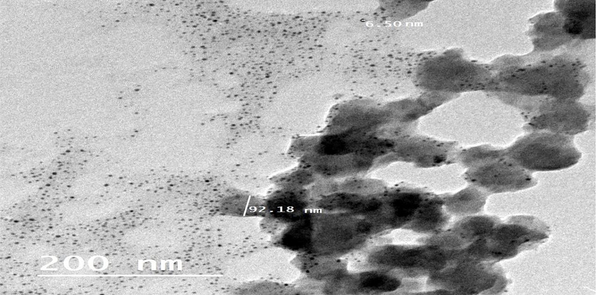 High Resolution Transmission Electron Microscope of SeNPs@CuO nanocomposite.