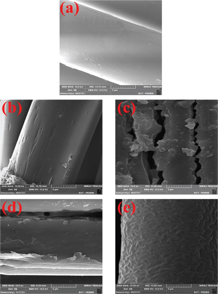 FE-SEM images of the TESPT grafted PET fabrics; (a) pristine PET, (b) PET-H, (c) PET-H-T1, (d) PET-C, (e) PET-C-T5.